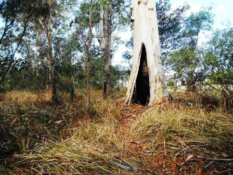 Peregian Springs QLD 4573