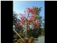 Peregian Springs QLD 4573