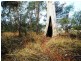 Peregian Springs QLD 4573