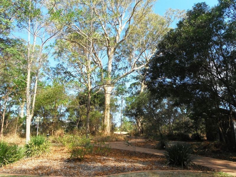 Lot 64 Edmore Court – The Pinnacle, Peregian Springs QLD 4573