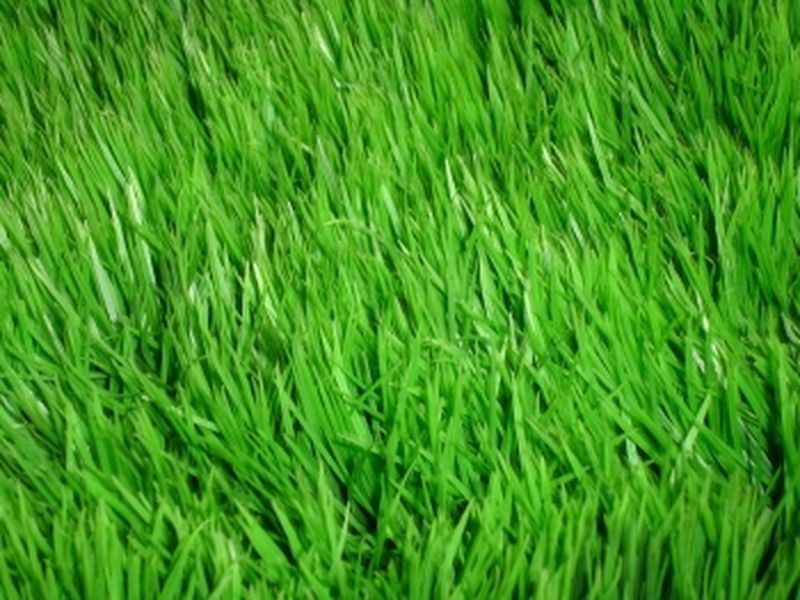 Peregian Springs QLD 4573