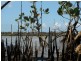 Noosaville QLD 4566
