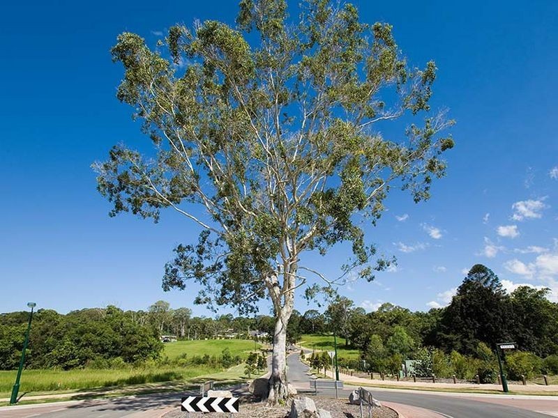 Nambour QLD 4560