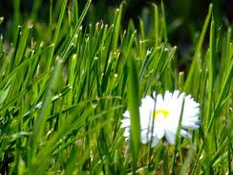 Peregian Springs QLD 4573