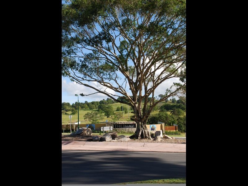 Lot 418-DH Expectation Lane The Image, Nambour QLD 4560