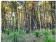 Noosaville QLD 4566