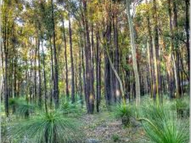 Noosaville QLD 4566
