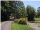 Eumundi QLD 4562