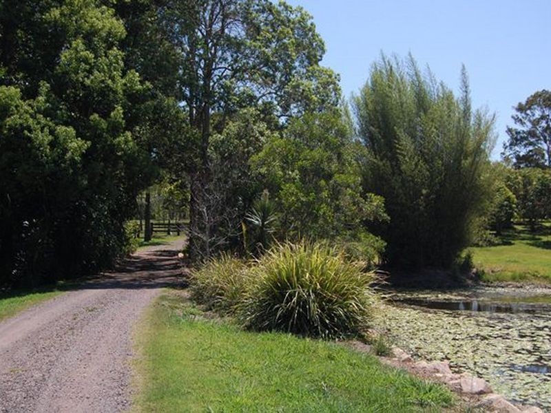 Eumundi QLD 4562