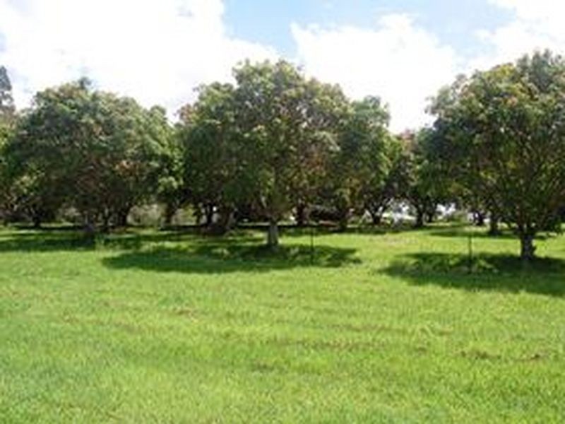 Eumundi QLD 4562