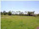 Eumundi QLD 4562