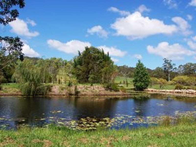 Eumundi QLD 4562