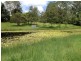 Eumundi QLD 4562