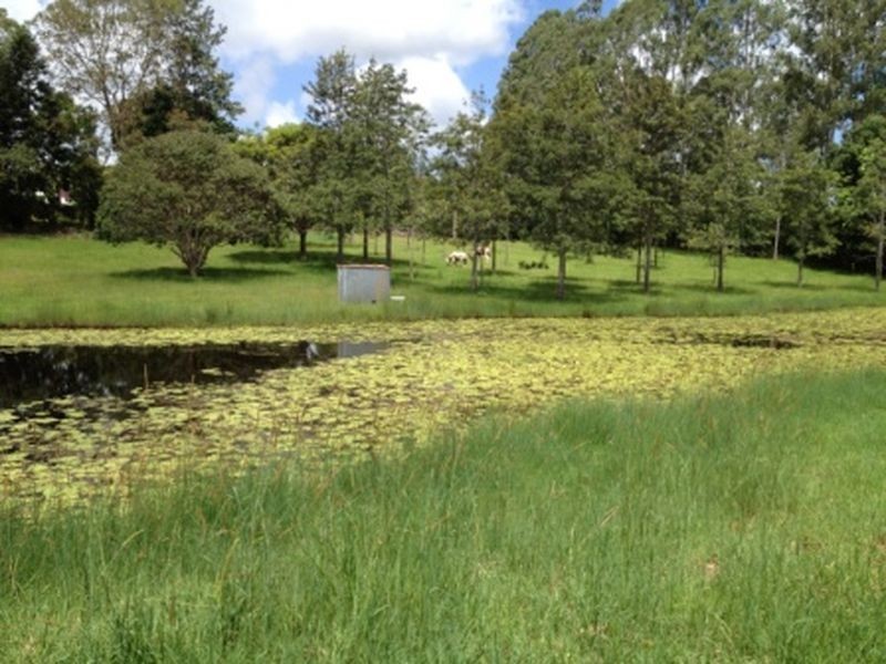 Eumundi QLD 4562