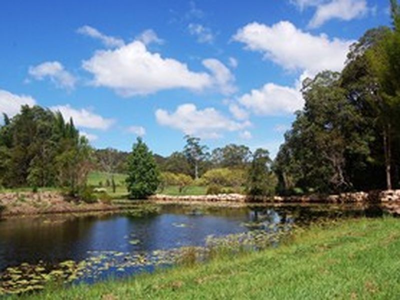Eumundi QLD 4562