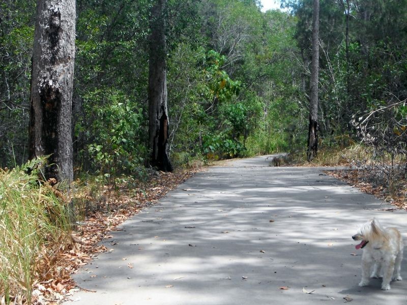 Lot 64 Morinda Circuit Lake Doonella, Noosaville QLD 4566