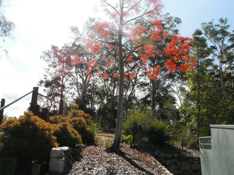 Lot 12 PBP Stanwich Close, Peregian Springs QLD 4573