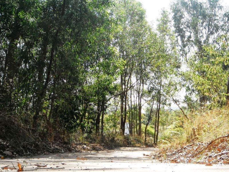 Lot 12 PBP Stanwich Close, Peregian Springs QLD 4573