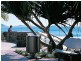 Cotton Tree QLD 4558