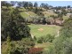 67 Hilltop Parkway, Tallwoods Village NSW 2430