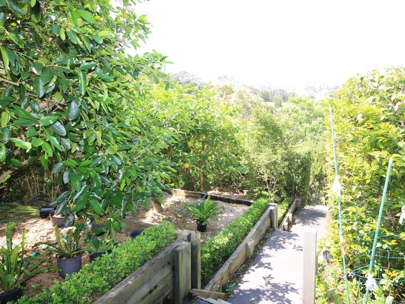 67 Hilltop Parkway, Tallwoods Village NSW 2430