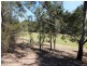 23 The Saddle, Tallwoods Village NSW 2430