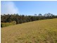 Lot 670 The Saddle, Tallwoods Village NSW 2430