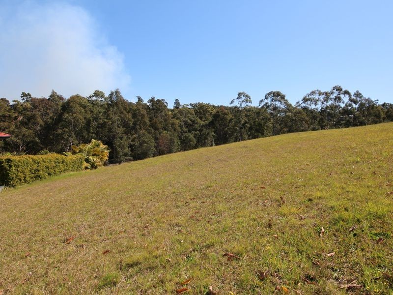 Lot 670 The Saddle, Tallwoods Village NSW 2430