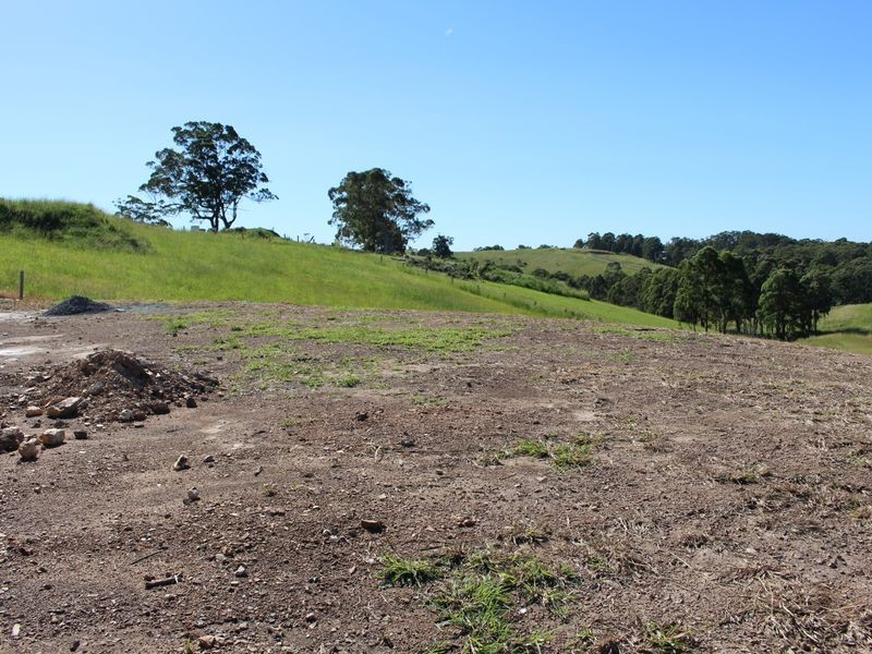 Lot 1002 Eastern Valley Way, Tallwoods Village NSW 2430