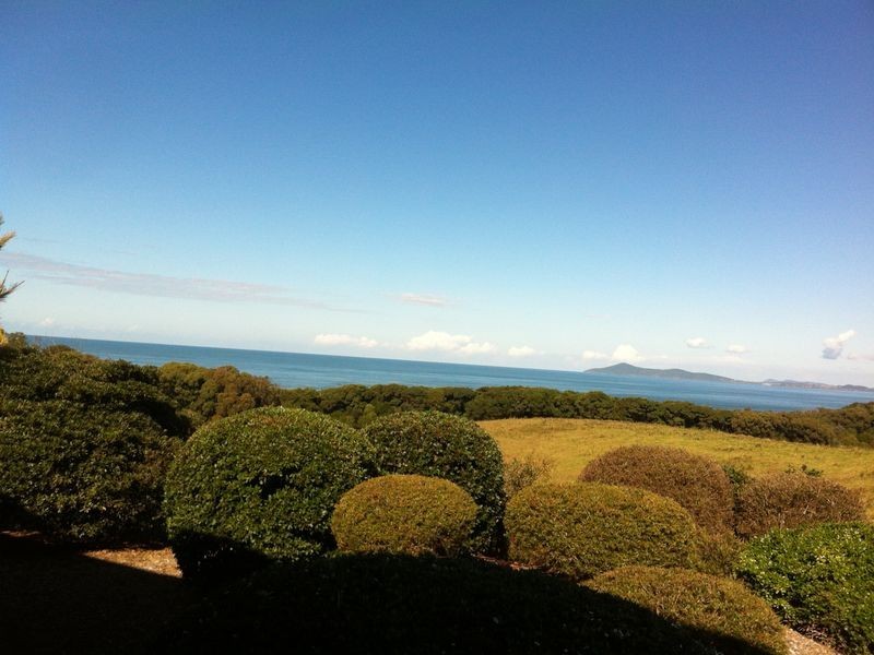 24 High Street, Hallidays Point NSW 2430