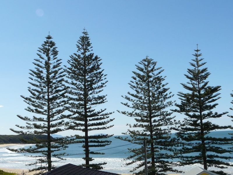 9 Main Street, Black Head NSW 2430
