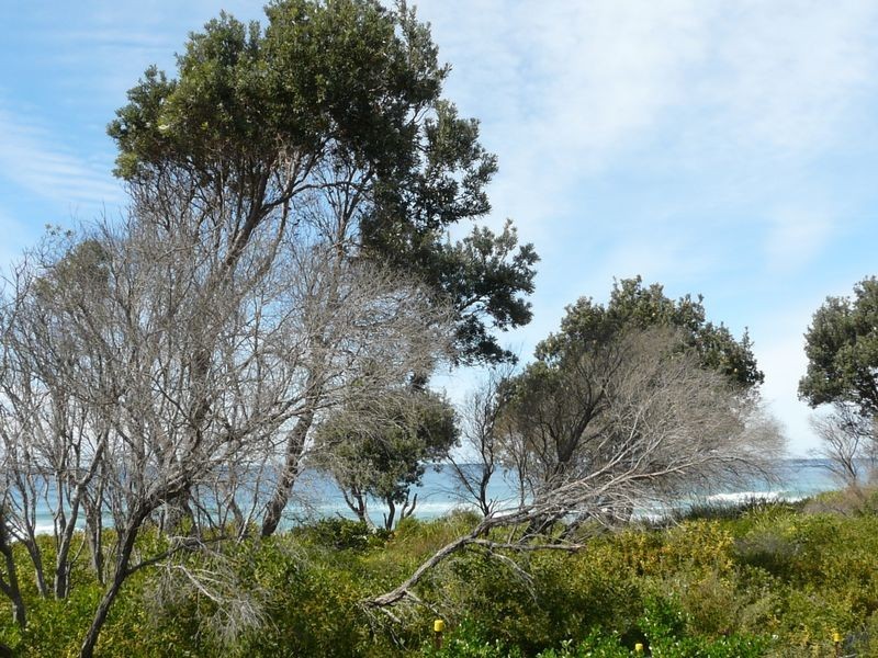 21 Jubilee Parade, Diamond Beach NSW 2430