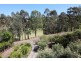 36 Hilltop Parkway, Tallwoods Village NSW 2430