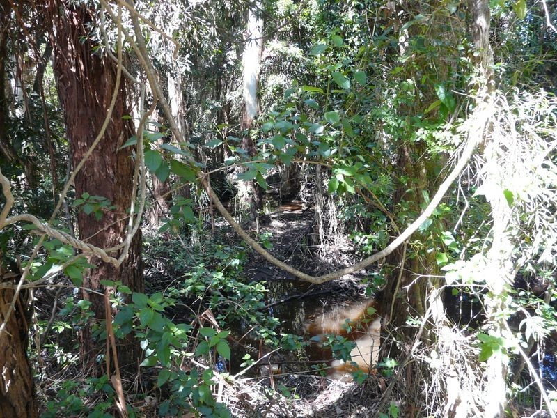 10 Figtree Drive, Diamond Beach NSW 2430