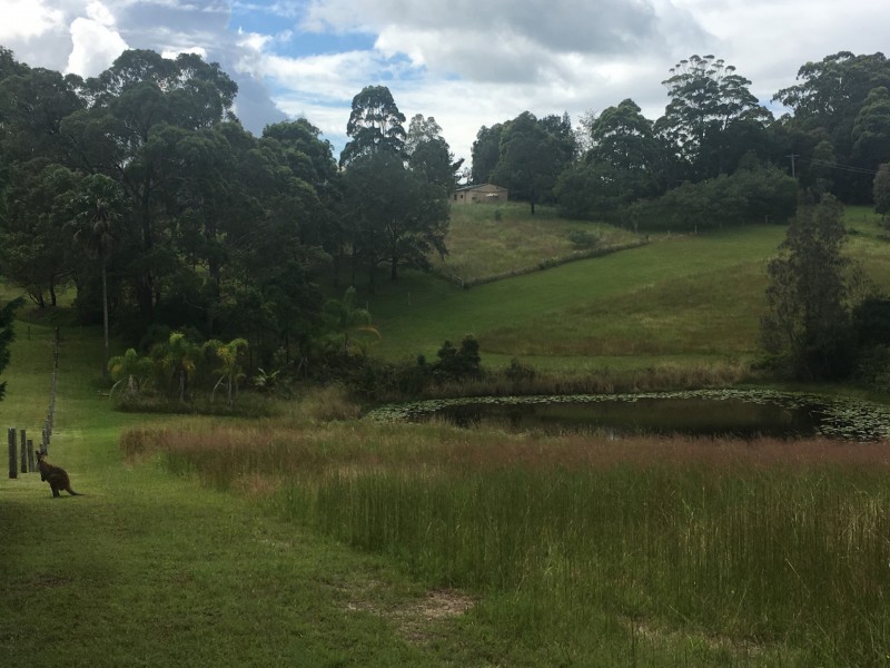 29 Panorama Drive, Diamond Beach NSW 2430