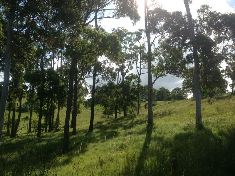 4 The Ridge, Hallidays Point NSW 2430