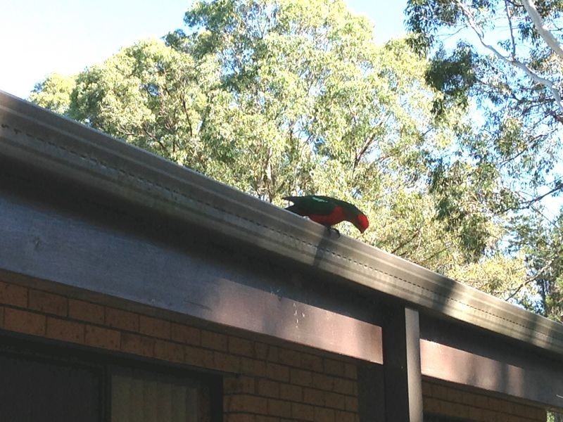 3 Tallowood Close, Failford NSW 2430