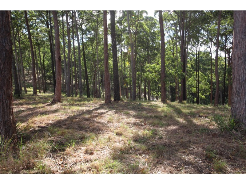 Tallwoods Village NSW 2430