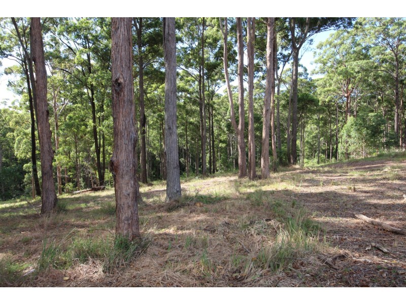 Tallwoods Village NSW 2430