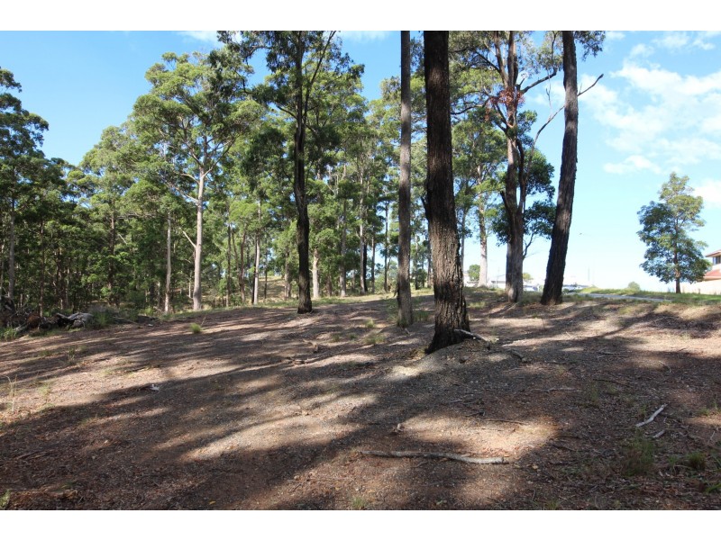 Tallwoods Village NSW 2430