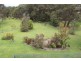 21. Headland Drive, Hallidays Point NSW 2430