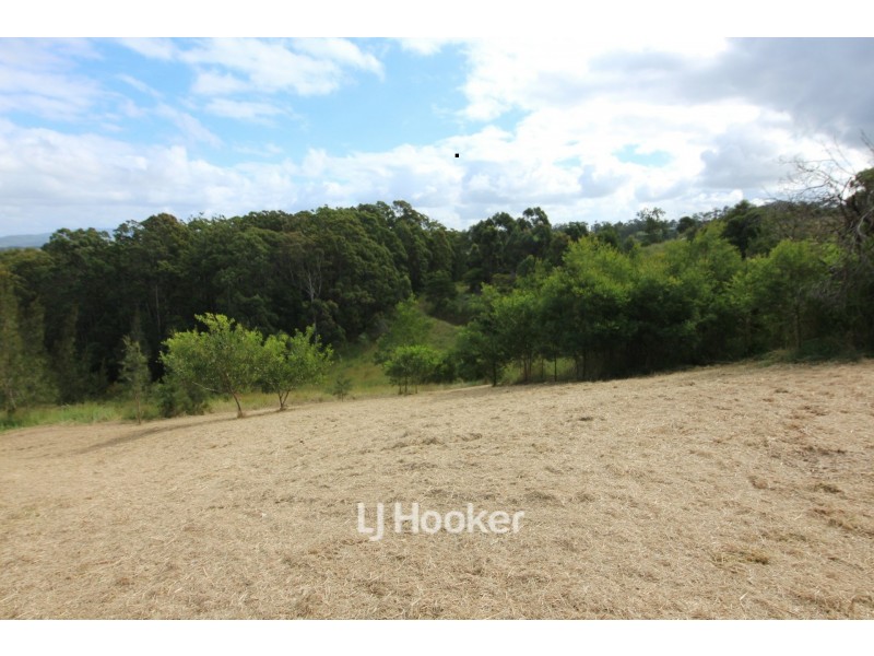 25 Lorikeet Way, Tallwoods Village NSW 2430