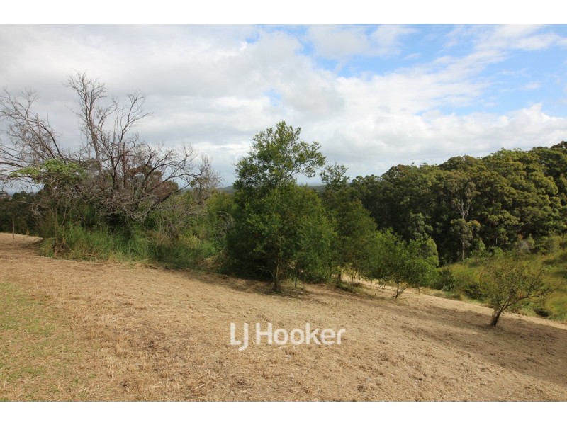 25 Lorikeet Way, Tallwoods Village NSW 2430