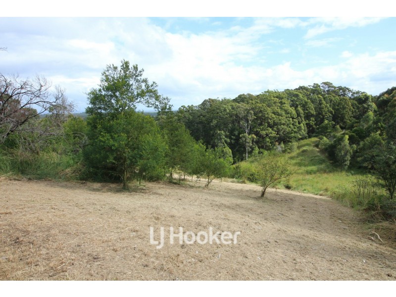 25 Lorikeet Way, Tallwoods Village NSW 2430