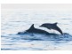 Lot Proposed Lot 13/310-314 Diamond Beach Road, Diamond Beach NSW 2430