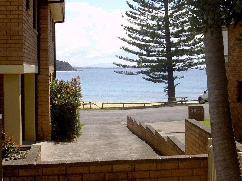 Black Head NSW 2430