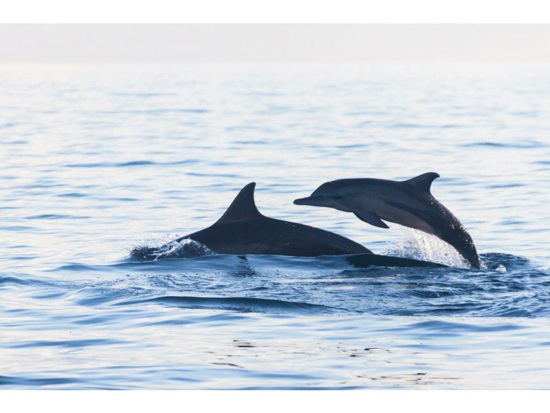 Lot Proposed Lot 20/310-314 Diamond Beach Road, Diamond Beach NSW 2430