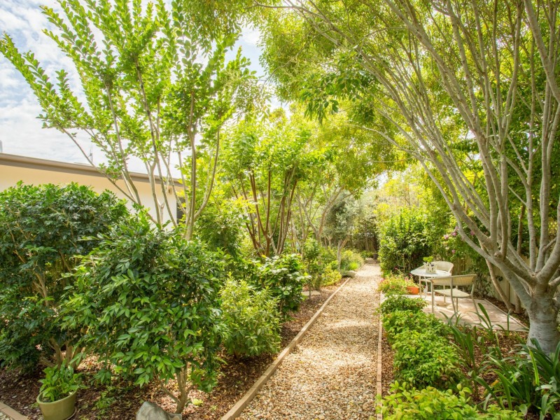 26 Grangewood Avenue, Tallwoods Village NSW 2430