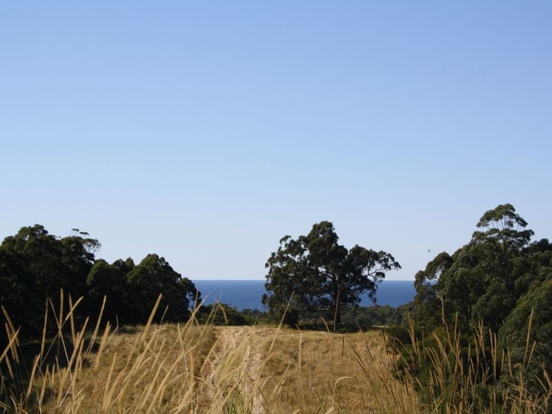 Hallidays Point NSW 2430