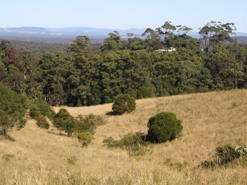 Hallidays Point NSW 2430